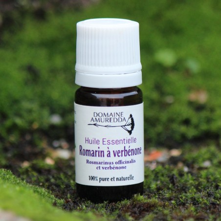 Romarin à verbénone  Bio - Huile essentielle pro